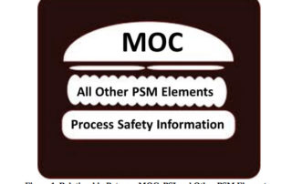 Understanding the Interrelationships Between the PSM Elements For Effective Implementation | Process Improvement Institute